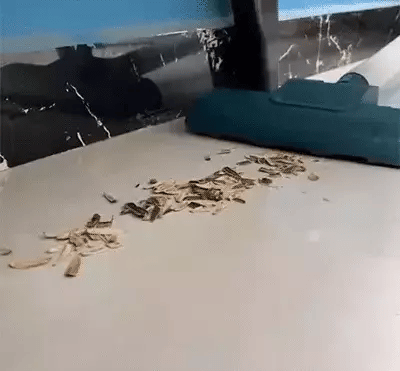 DUST BUSTER LITE™  Aspiradora Sin Cable Compacta 