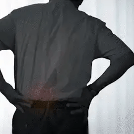 Crema Mágica de Veneno de Abeja